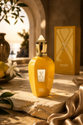 Xerjoff Erba Gold Eau de Parfum 3.4 Oz Unisex