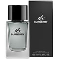 Burberry Mr Burberry EDT 3.3 Oz bottle and box